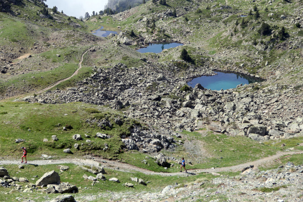 site