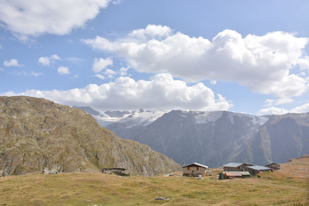 site