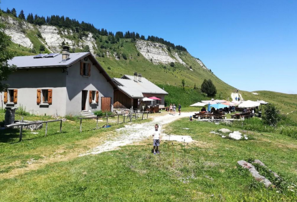site