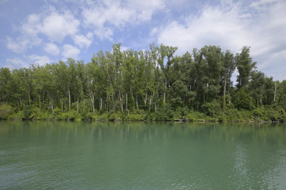 site