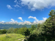 36951